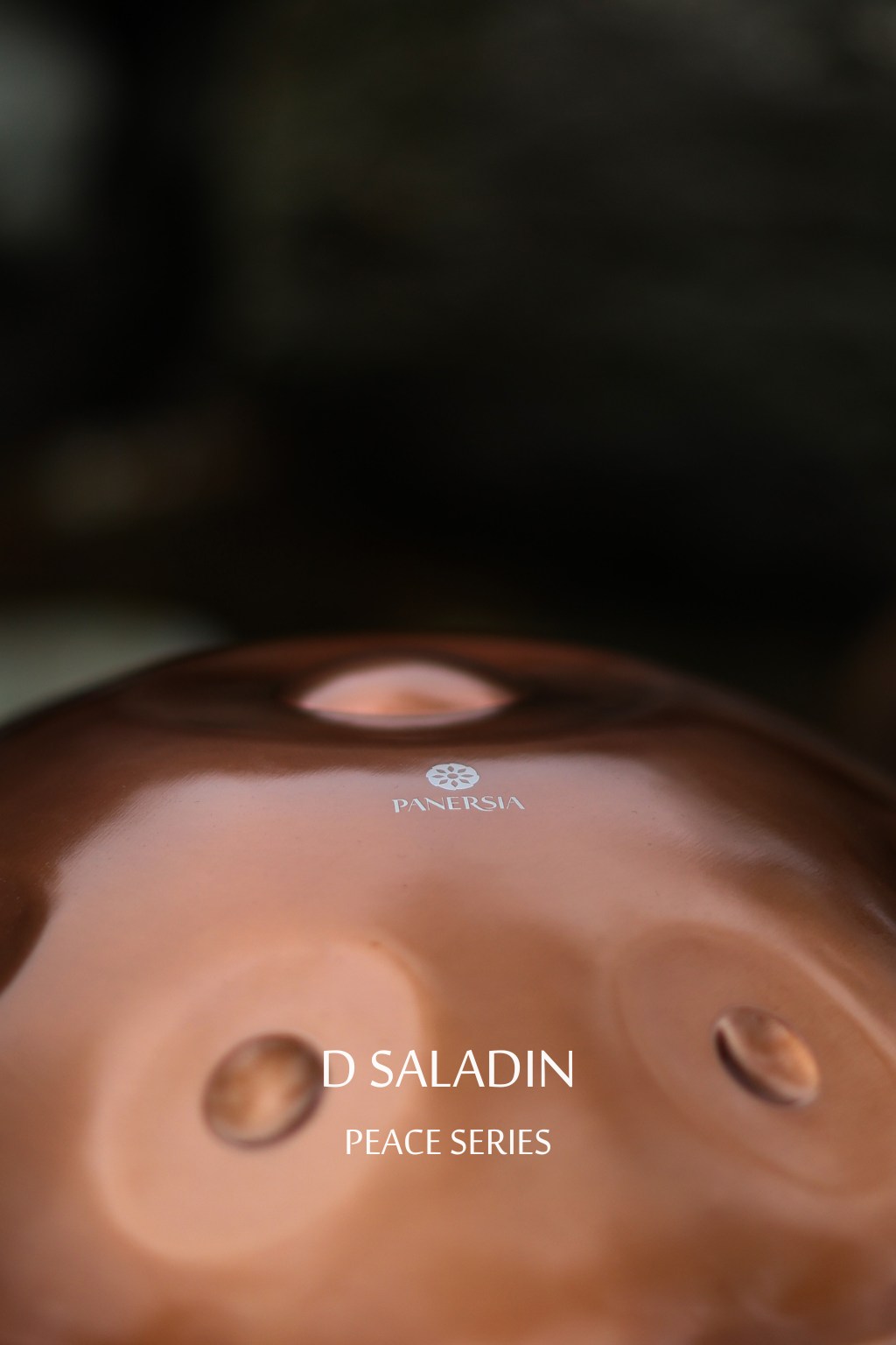 هنگدرام ر سلادین 9 نت ( D Saladin )